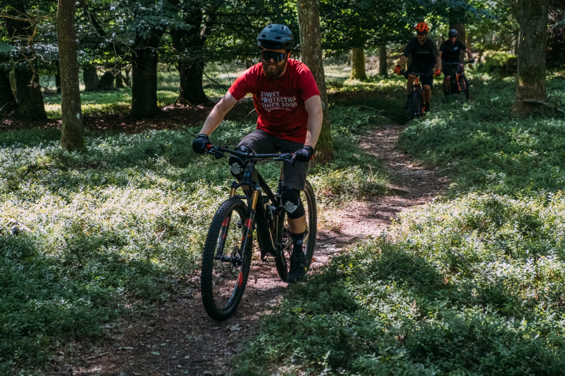Mountainbike i Häckebergas bokskog