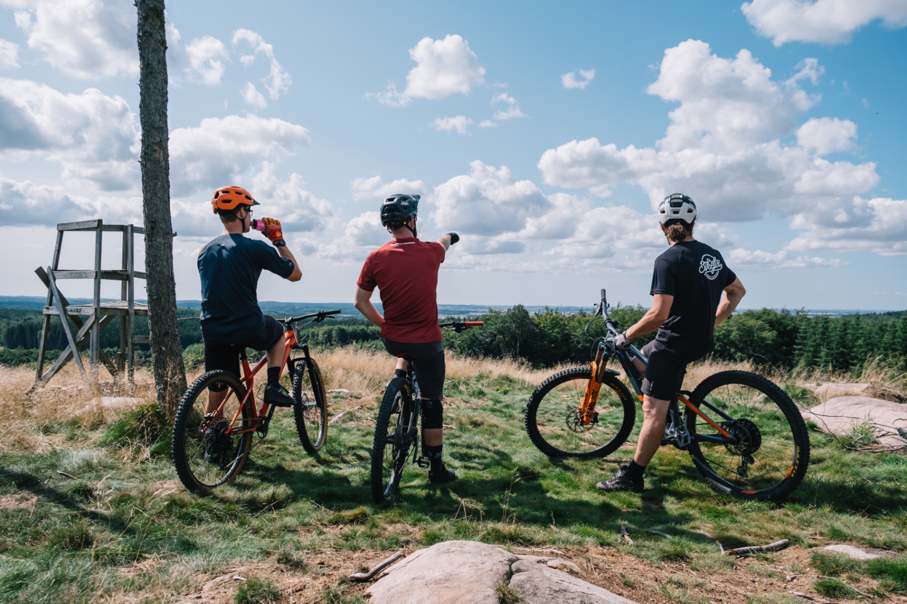 Utsikt under guidad MTB-tur i Skåne